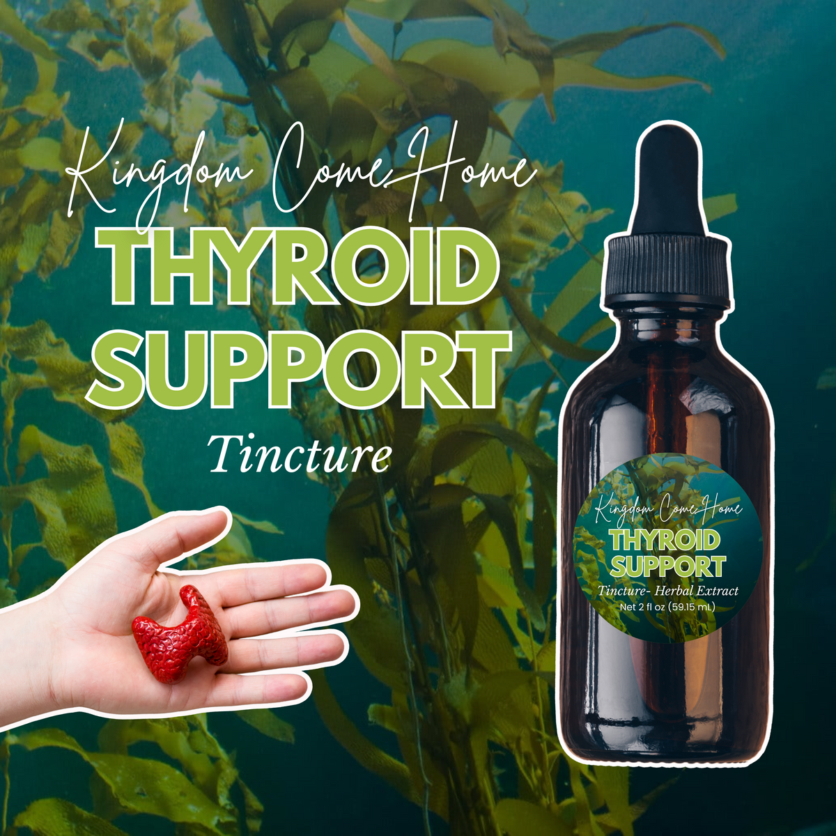 Thyroid Support Tincture