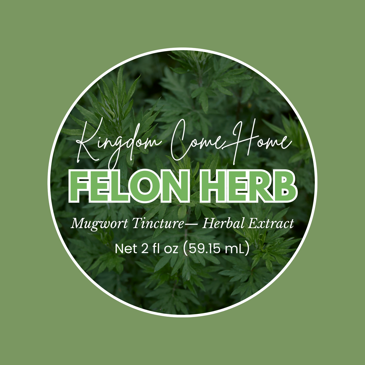 Felon Herb (Mugwort) Tincture