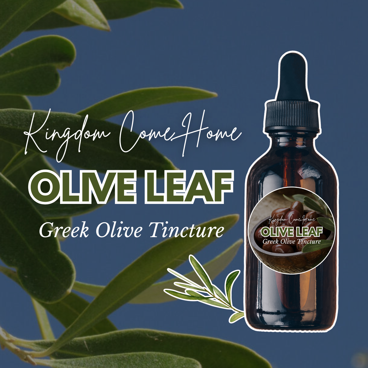 Olive Leaf - Greek Olive Tincture
