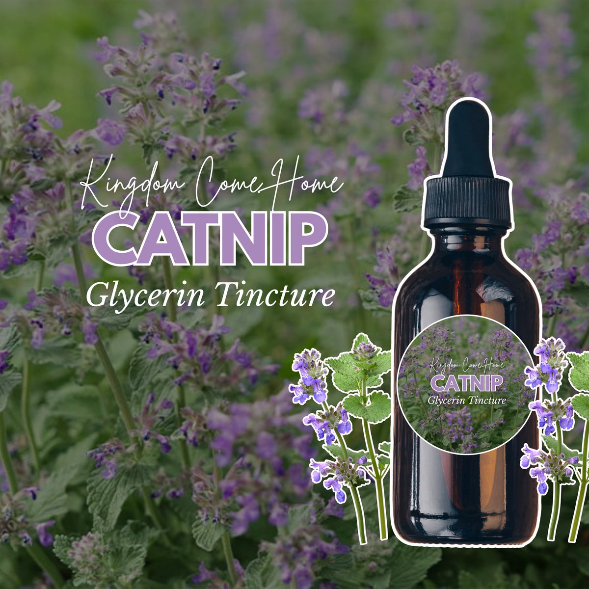 Catnip - Glycerin Tincture