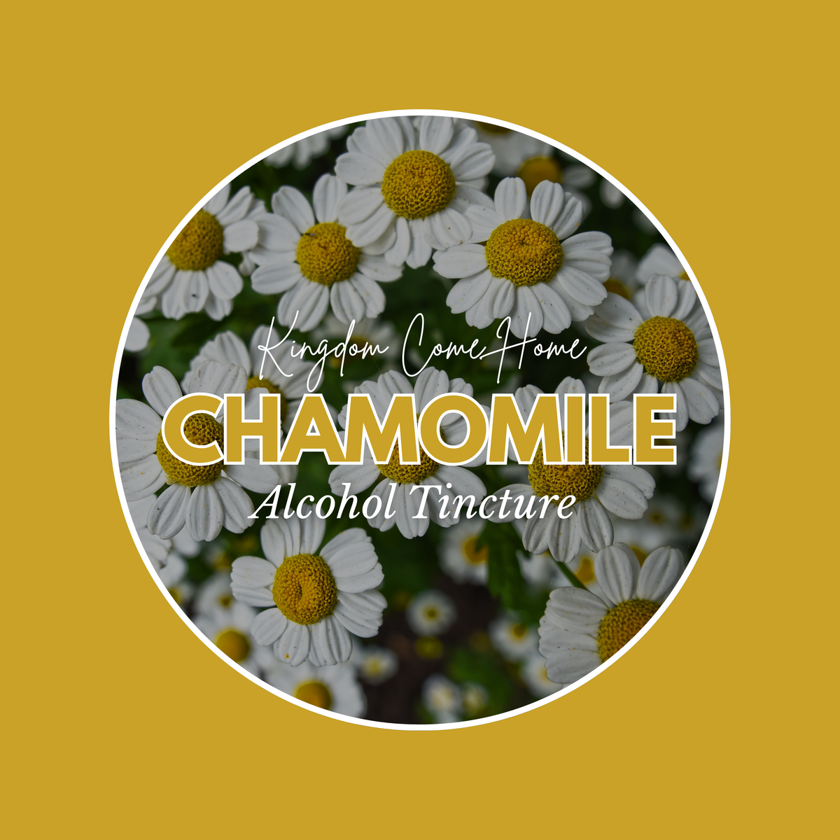 Chamomile - Alcohol Tincture