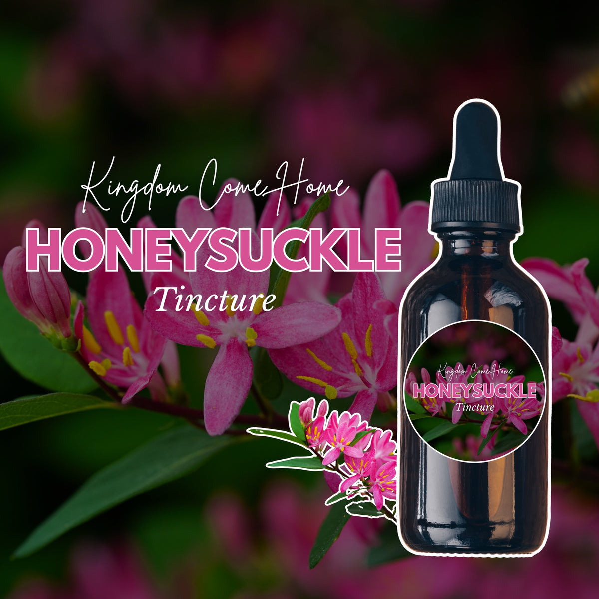 Honeysuckle Tincture
