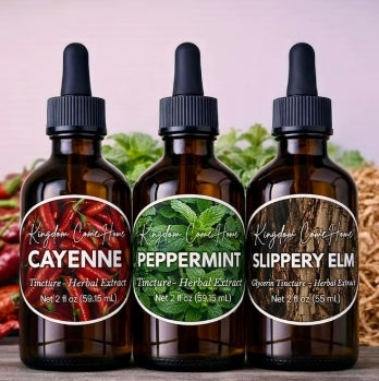Digestive Support