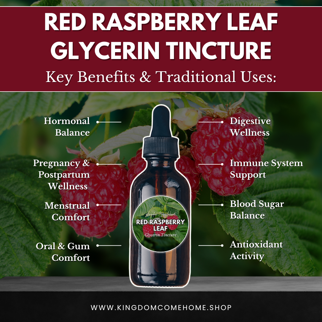 Red Raspberry Leaf - Glycerin Tincture