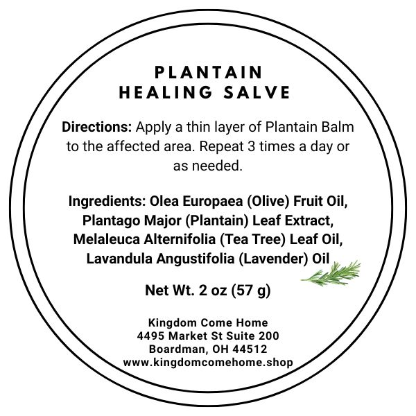 Plantain Healing Salve