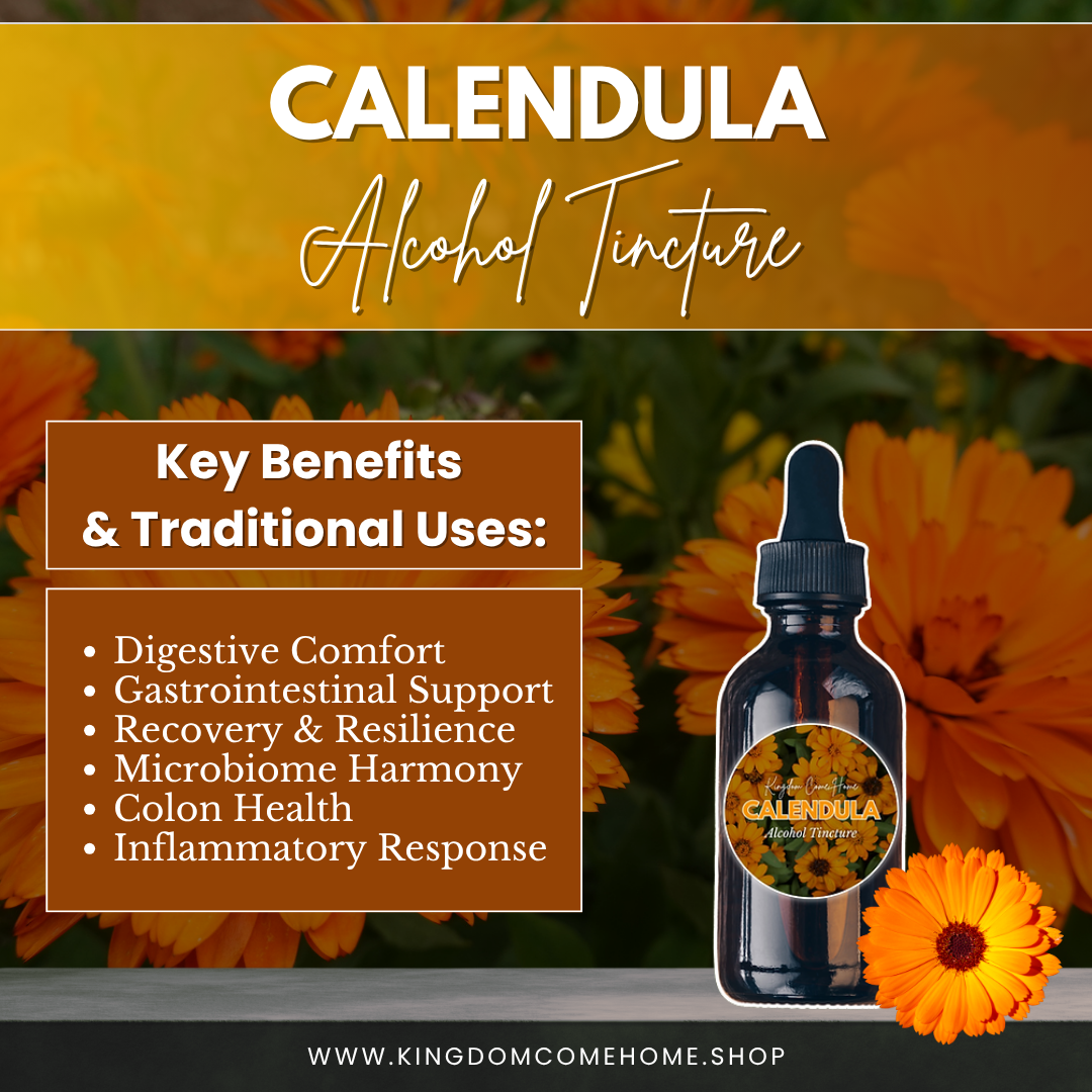 Calendula - Alcohol Tincture