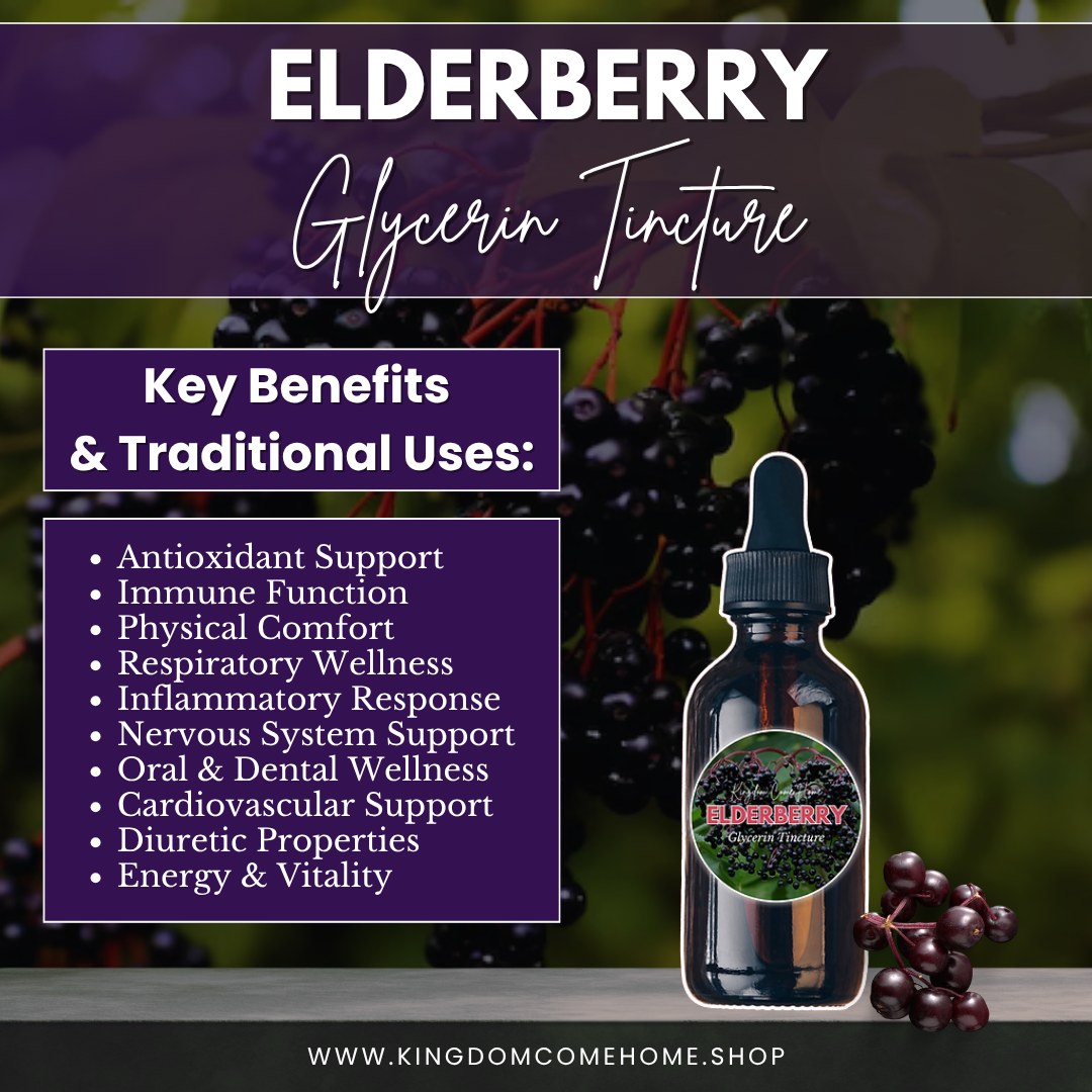 Elderberry - Glycerin Tincture