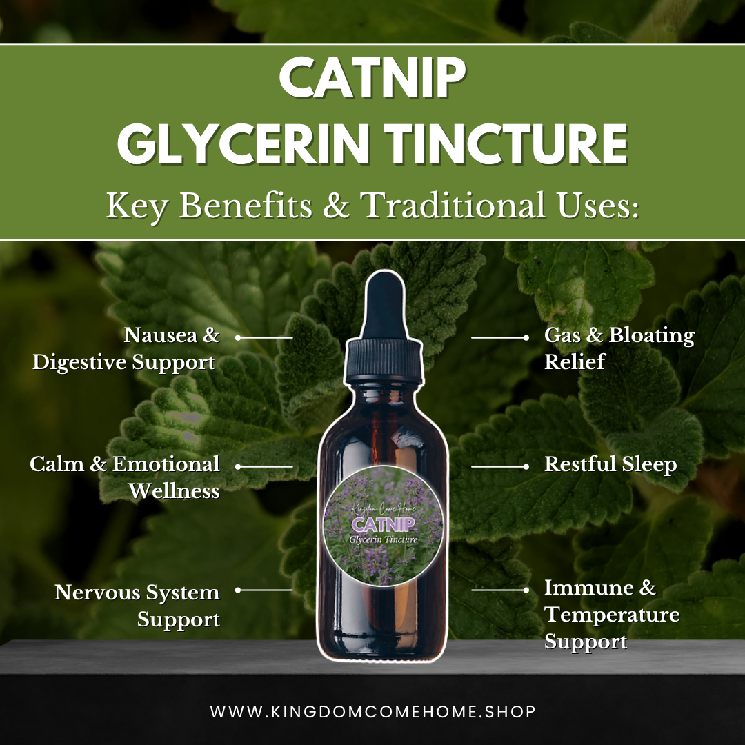 Catnip - Glycerin Tincture