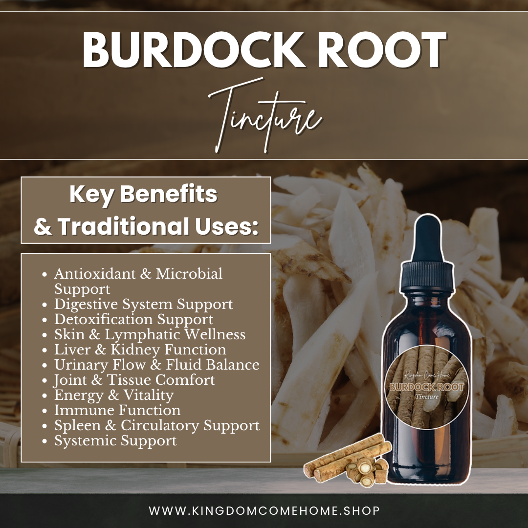 Burdock Root Tincture