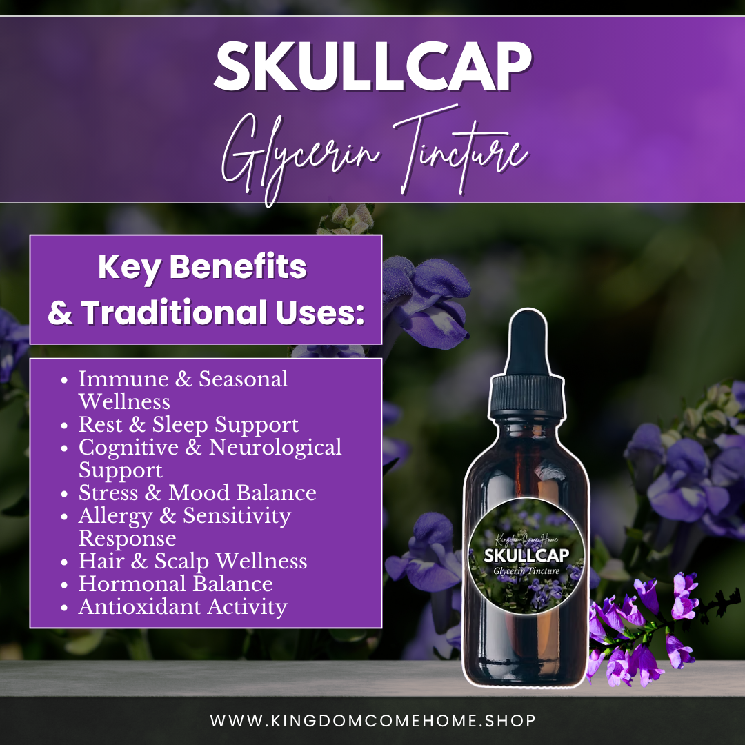 Skullcap - Glycerin Tincture