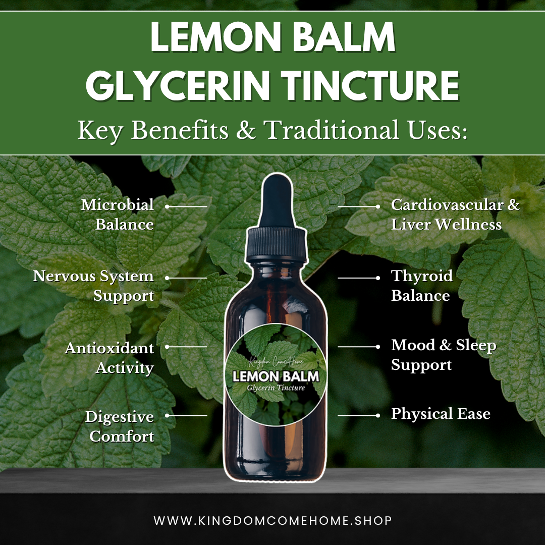 Lemon Balm - Glycerin Tincture