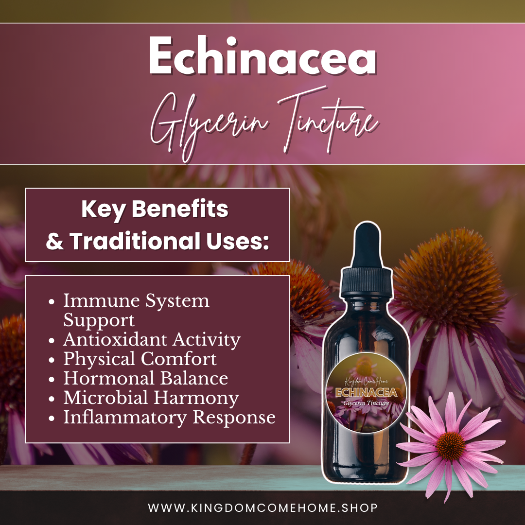 Echinacea - Glycerin Tincture